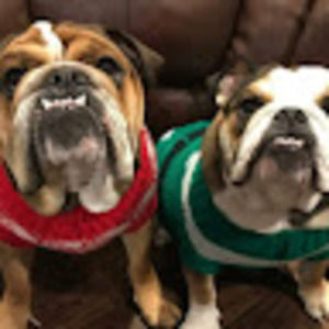 Meet your Posher, Stefanie